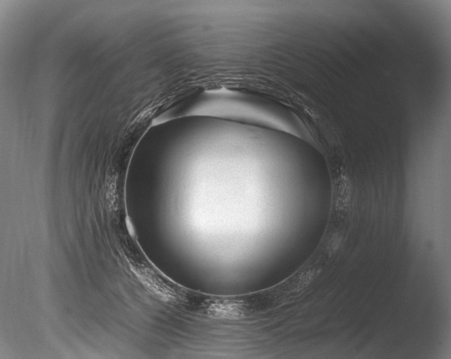 X0000085290560200703161453