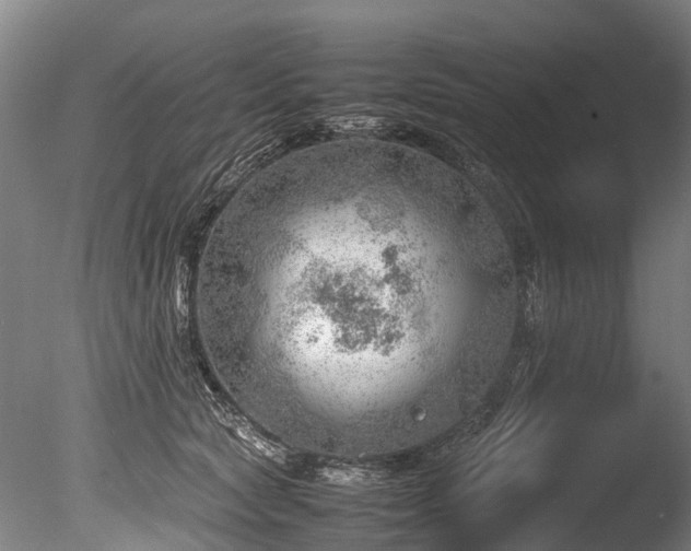 X0000085290561200703161453