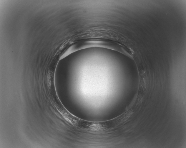 X0000085290562200703161453