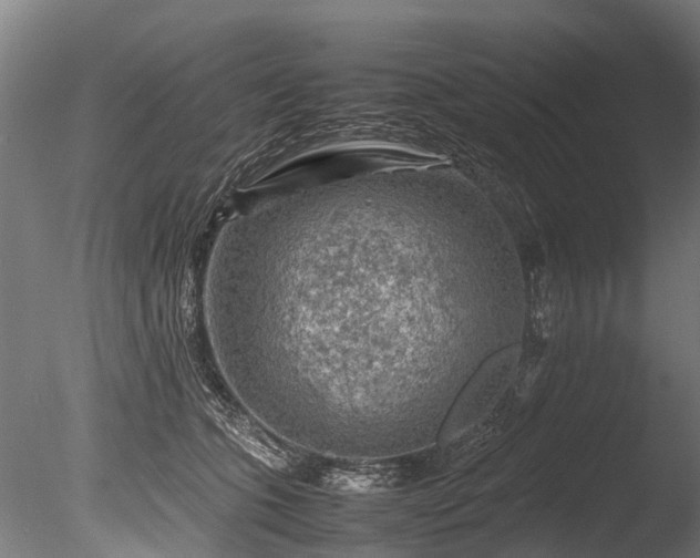 X0000085290563200703161453