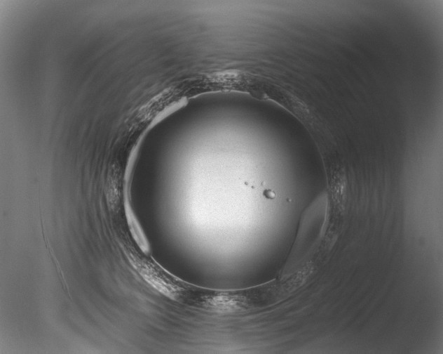 X0000085290566200703161453