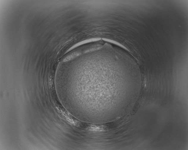 X0000085290569200703161453