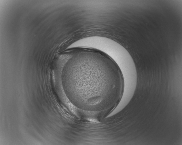 X0000085290570200703161453