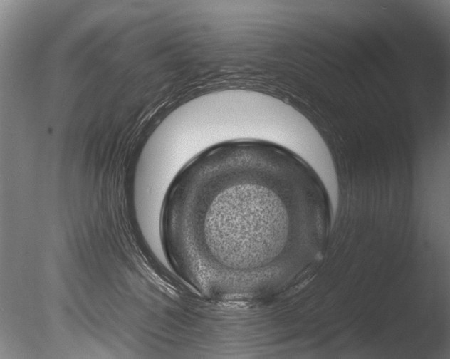 X0000085290572200703161453