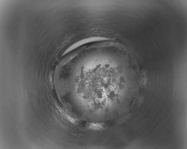 X0000085290573200703161453