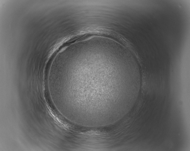 X0000085290578200703161452