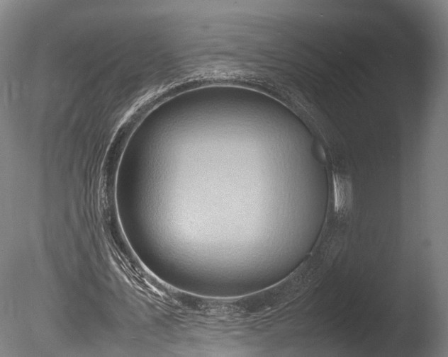 X0000085290579200703161452