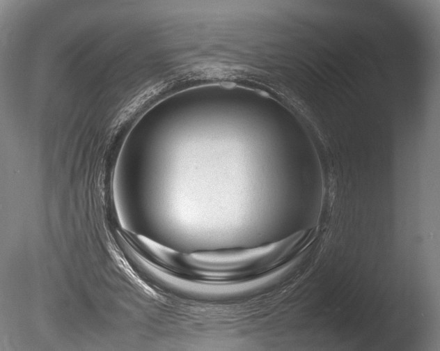 X0000085290581200703161452