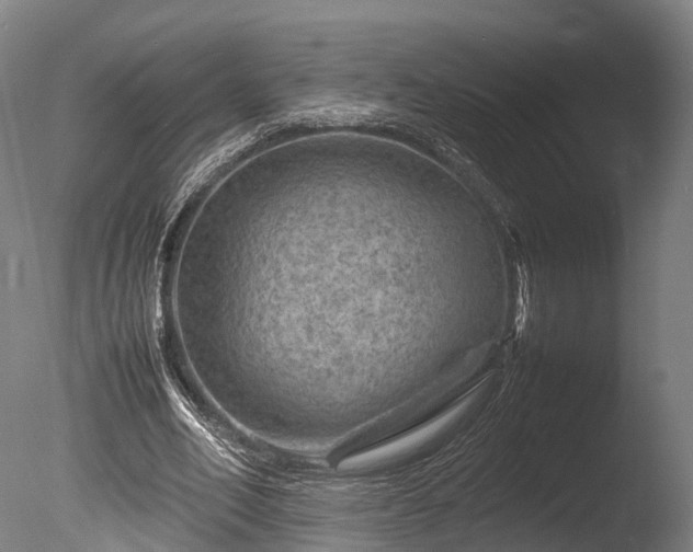 X0000085290582200703161452