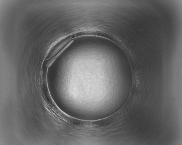 X0000085290583200703161452