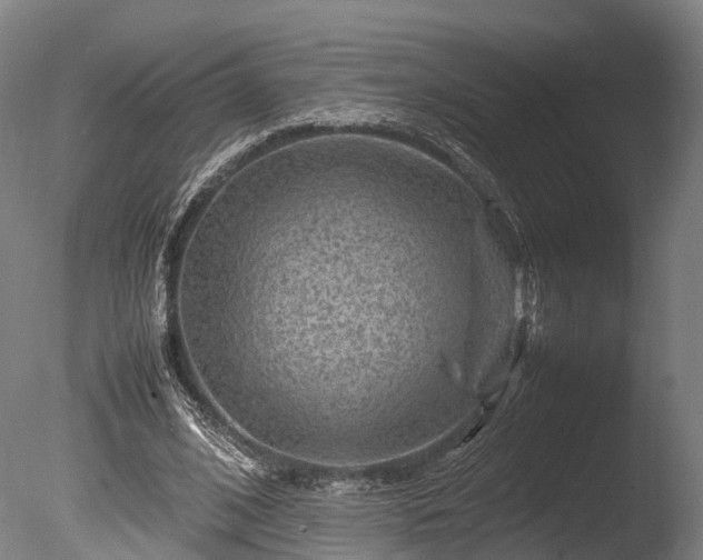 X0000085290584200703161452