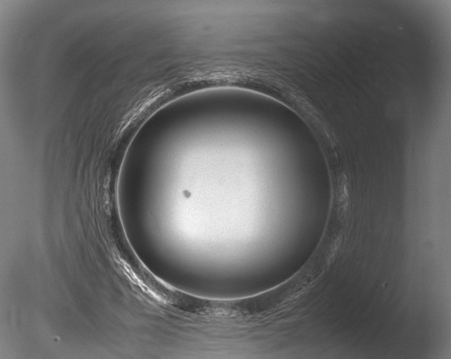 X0000085290585200703161452