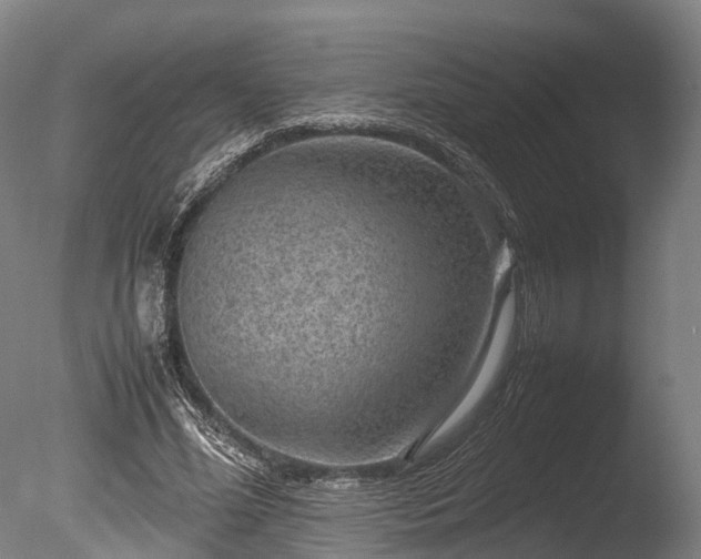 X0000085290588200703161452