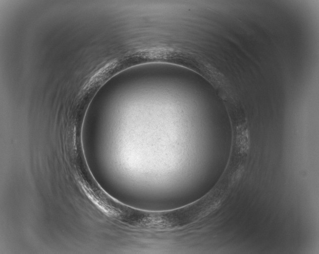 X0000085290589200703161452