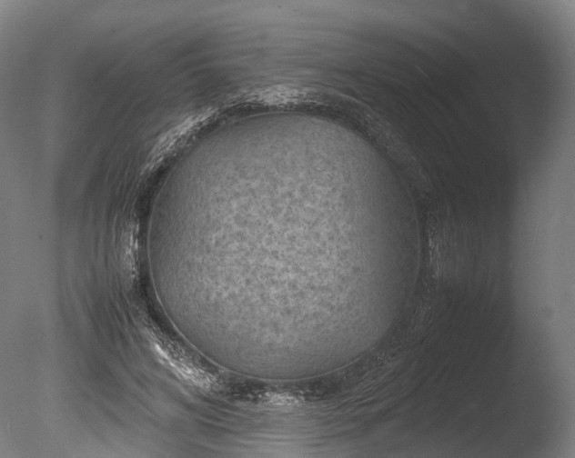 X0000085290592200703161452