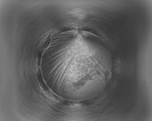 X0000085290594200703161452