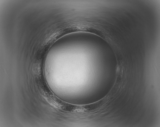 X0000085290595200703161452