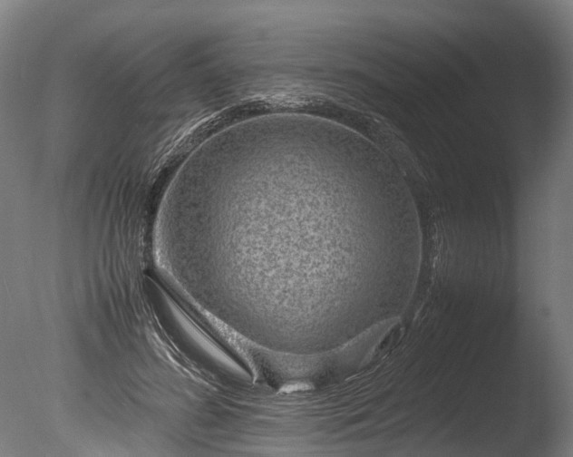 X0000085290596200703161452