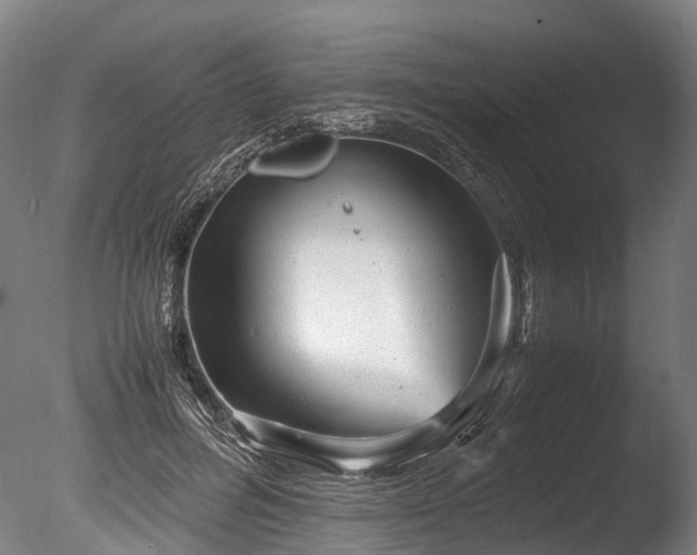 X0000085290600200703161452