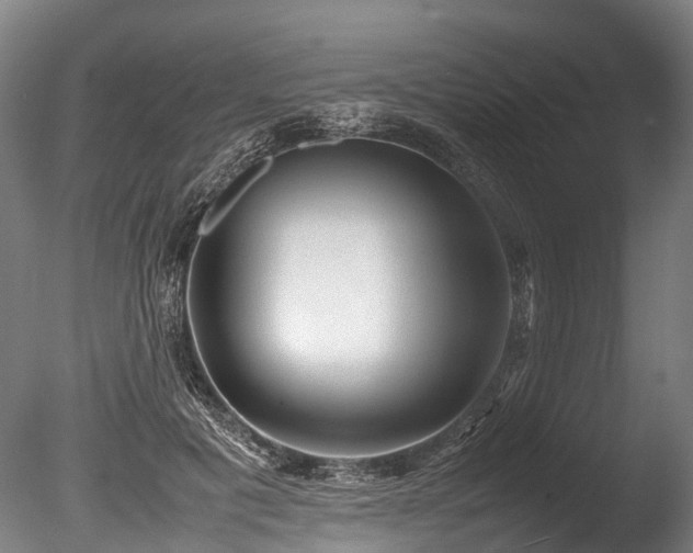 X0000085290601200703161452