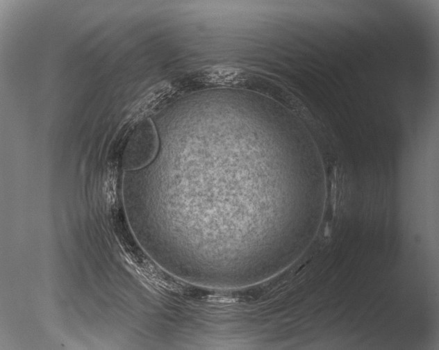 X0000085290602200703161452