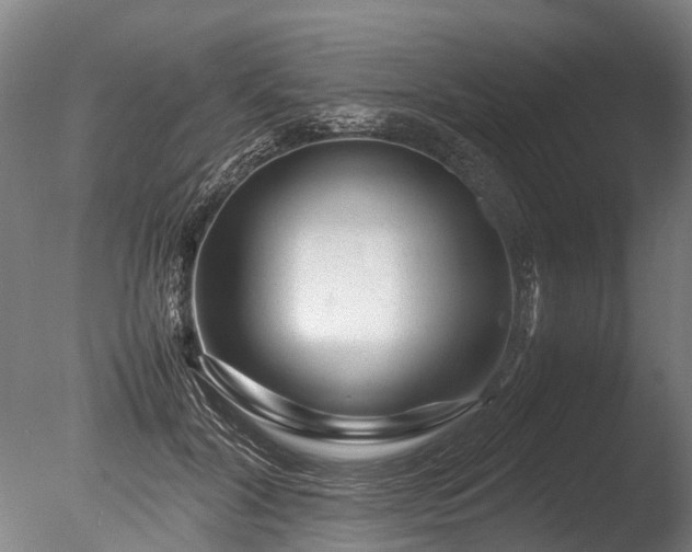 X0000085290604200703161452