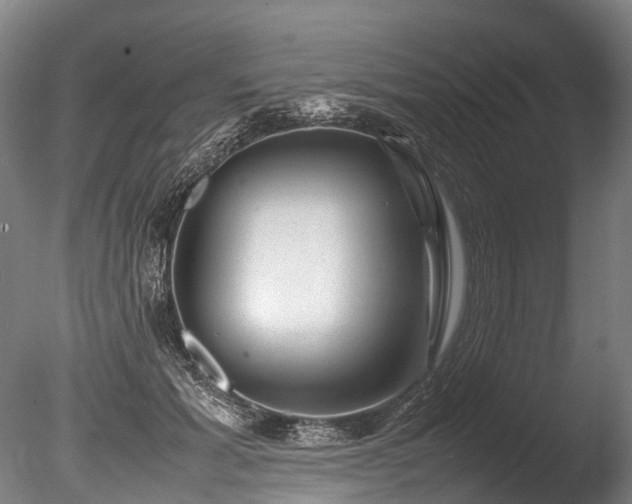 X0000085290605200703161452