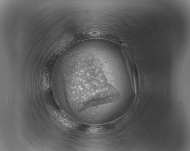 X0000085290606200703161452