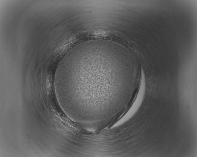 X0000085290608200703161452