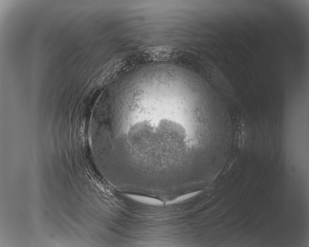 X0000085290610200703161452