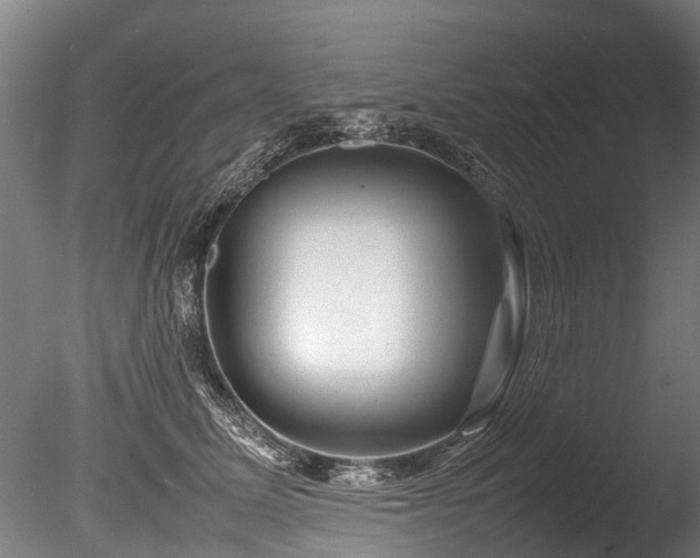 X0000085290611200703161452