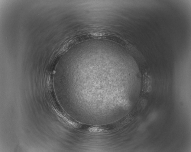 X0000085290614200703161452