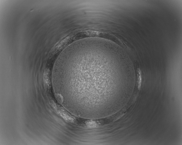 X0000085290616200703161452