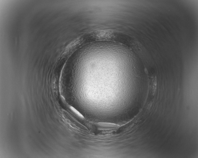 X0000085290619200703161452