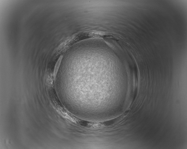 X0000085290621200703161452