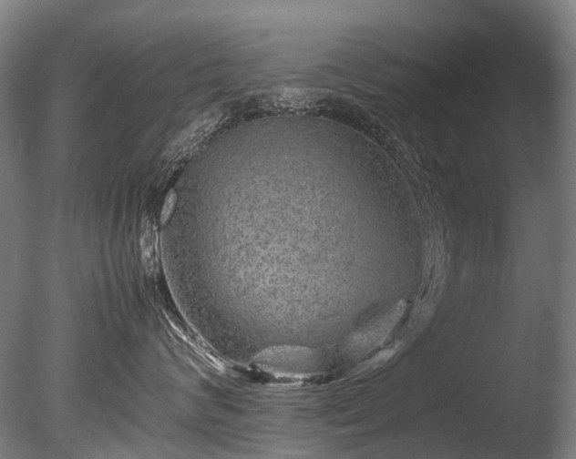 X0000085290624200703161452