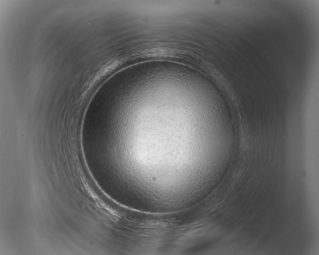 X0000085290625200703161451