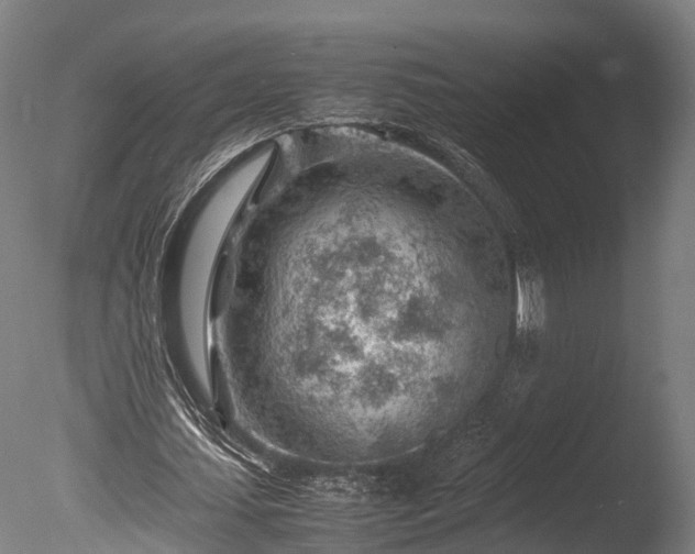 X0000085290627200703161451