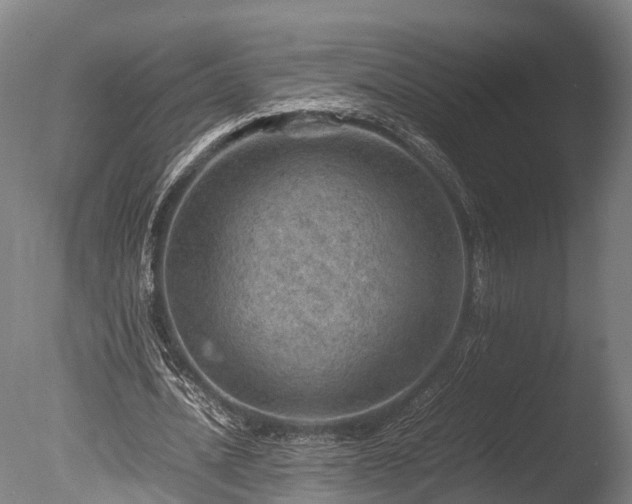 X0000085290628200703161451