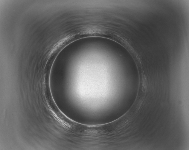 X0000085290629200703161451