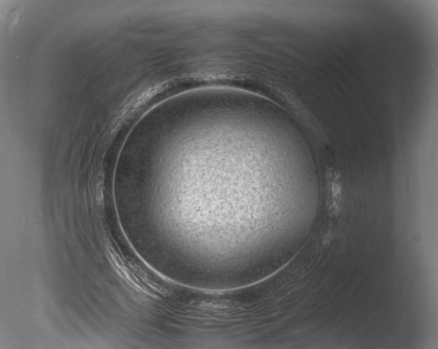 X0000085290631200703161451