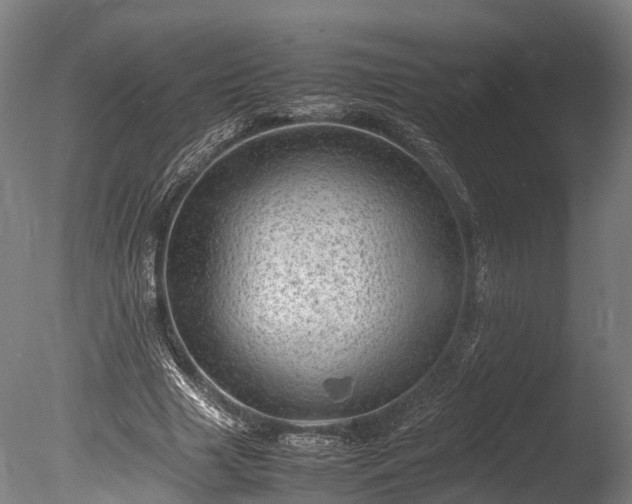 X0000085290633200703161451