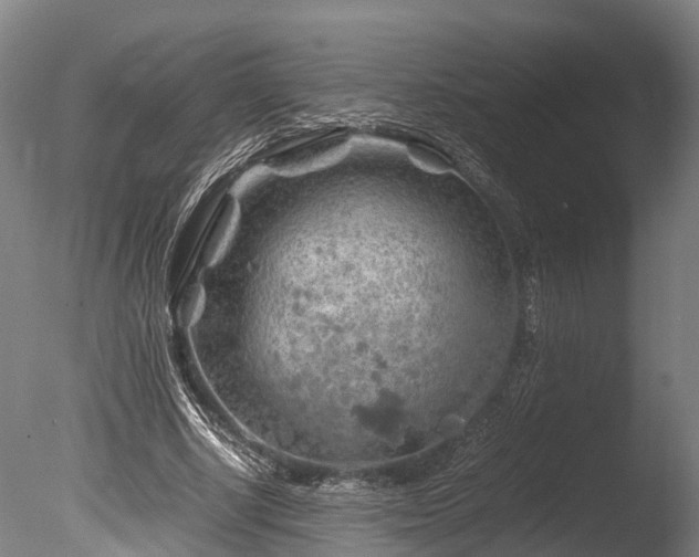 X0000085290634200703161451