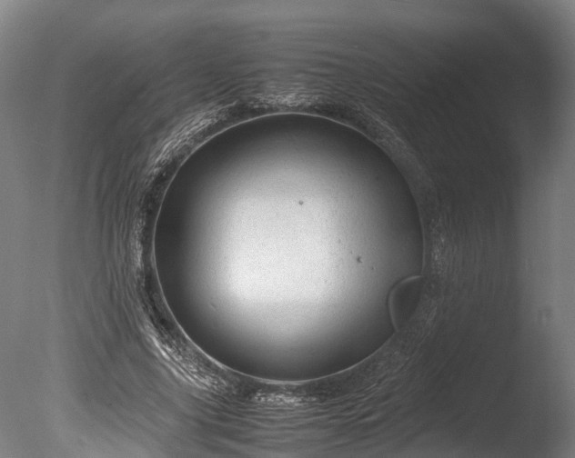 X0000085290635200703161451