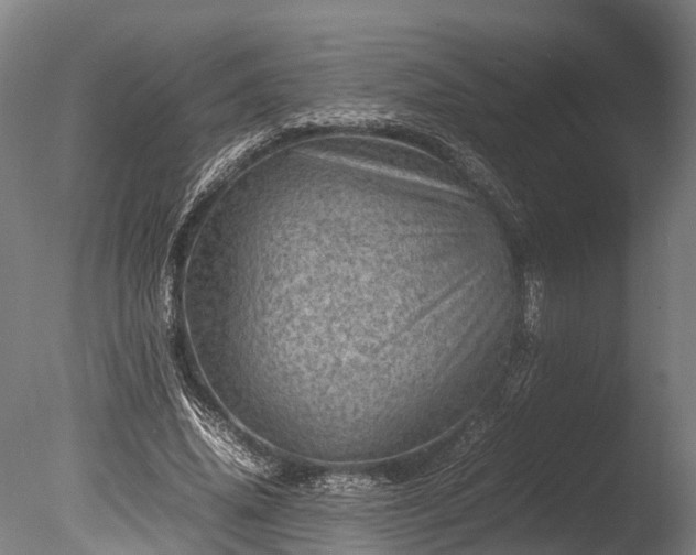 X0000085290636200703161451