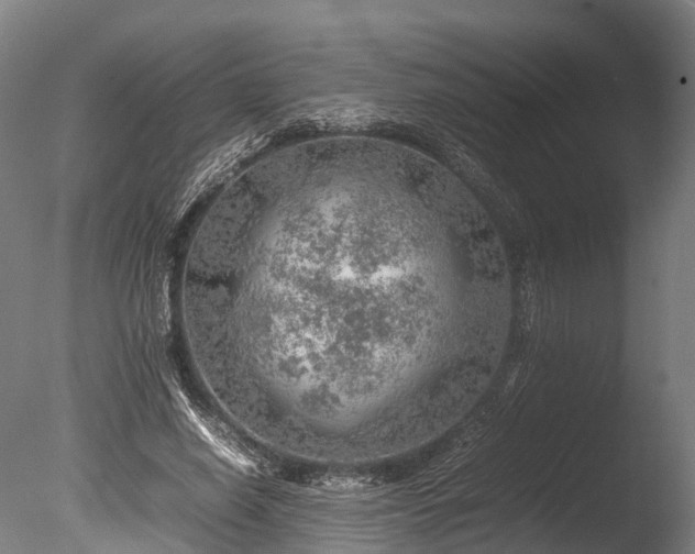 X0000085290638200703161451