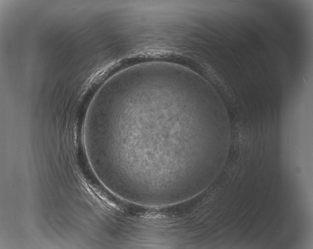 X0000085290640200703161451