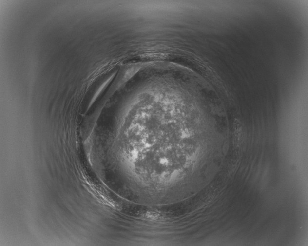 X0000085290641200703161451