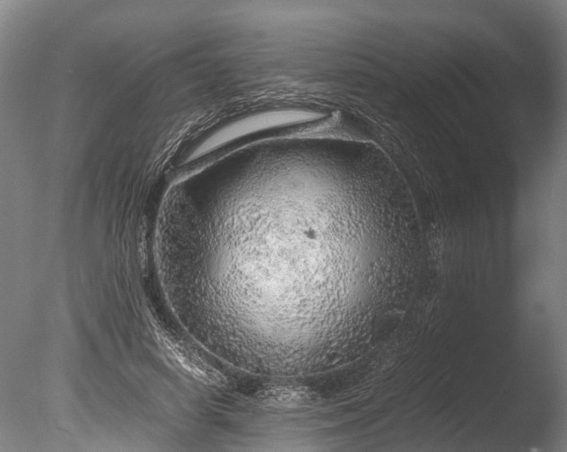 X0000085290642200703161451