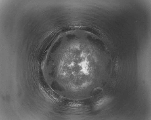 X0000085290643200703161451